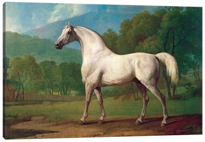 Mambrino, c.1790 Canvas Art Print - George Stubbs