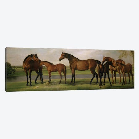 Mares And Foals Disturbed By An Approaching Storm, 1764-66 Canvas Print #BMN11571} by George Stubbs Canvas Art