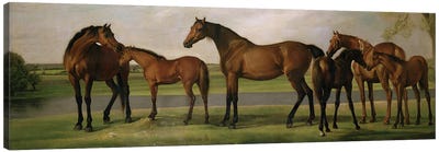 Mares And Foals Disturbed By An Approaching Storm, 1764-66 Canvas Art Print - George Stubbs