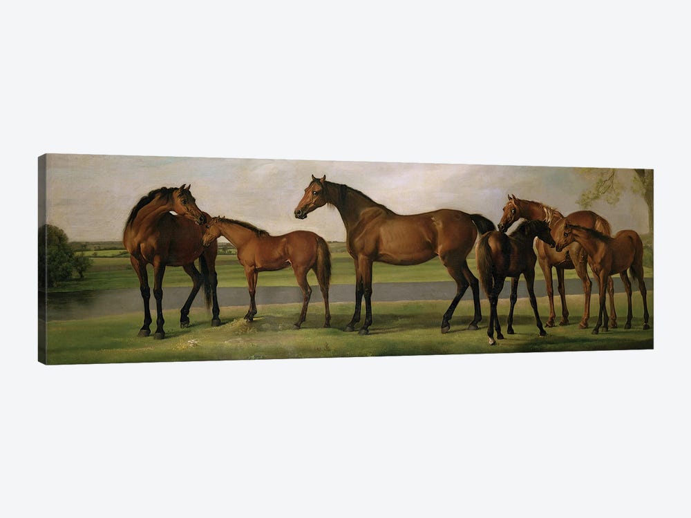 Mares And Foals Disturbed By An Approaching Storm, 1764-66 by George Stubbs 1-piece Canvas Wall Art