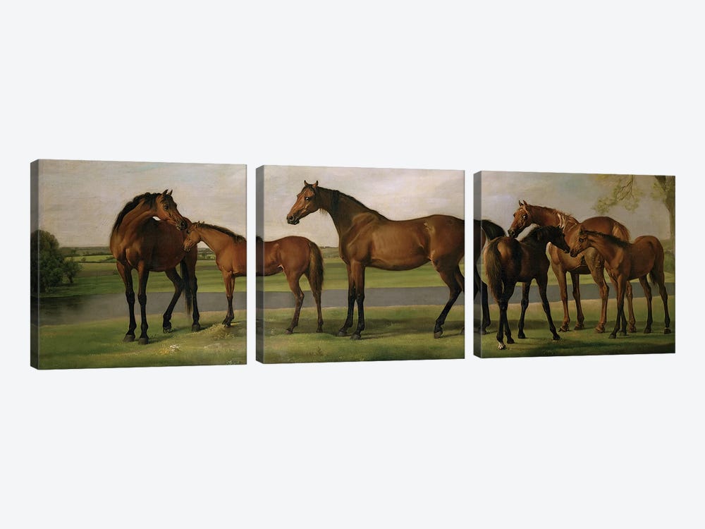 Mares And Foals Disturbed By An Approaching Storm, 1764-66 by George Stubbs 3-piece Canvas Art