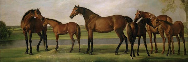 George Stubbs: Mares And Foals Disturbed By An Approaching Storm, 1764-66 by George Stubbs