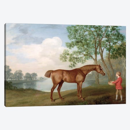 Pumpkin With A Stable-Lad, 1774 Canvas Print #BMN11575} by George Stubbs Canvas Art Print