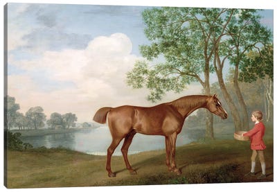 Pumpkin With A Stable-Lad, 1774 Canvas Art Print - George Stubbs