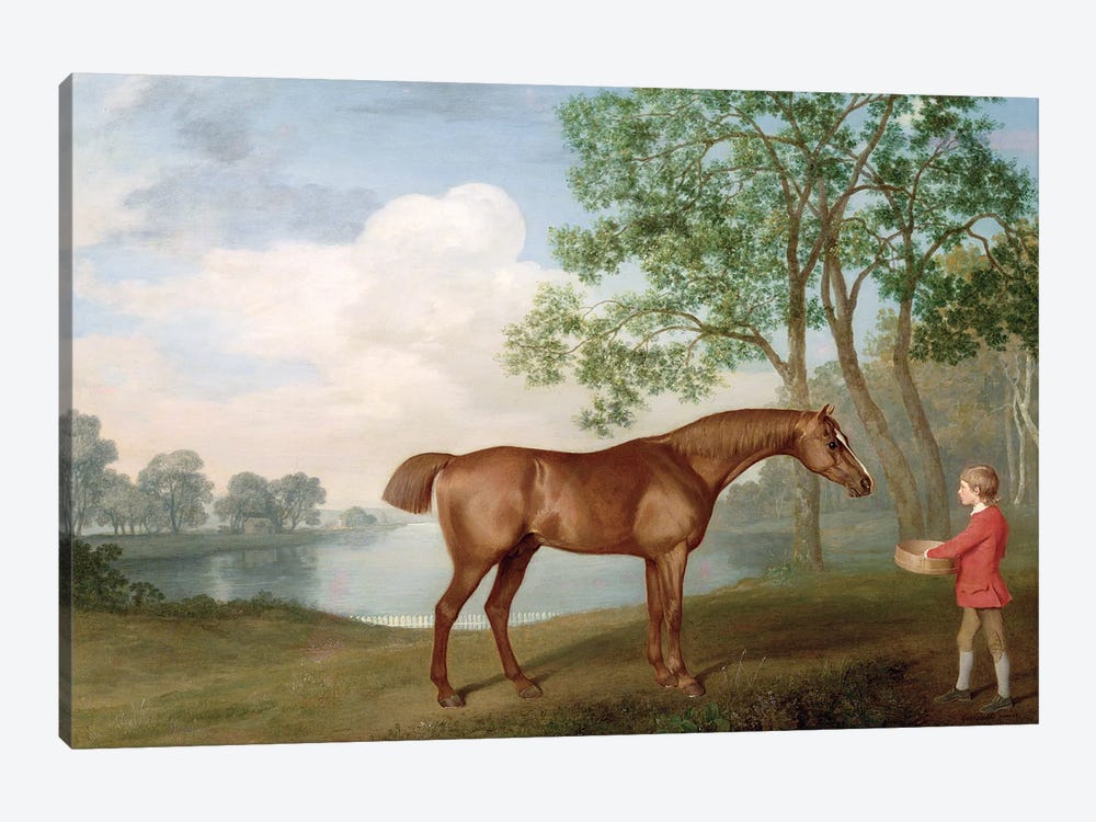 Pumpkin With A Stable-Lad, 1774 by George Stubbs 1-piece Canvas Wall Art