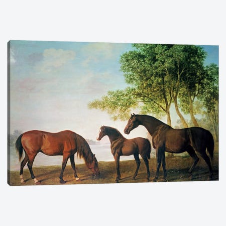 Shafto Mares And A Foal Canvas Print #BMN11576} by George Stubbs Canvas Art Print