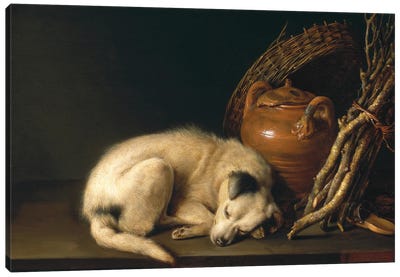 Dog At Rest, 1650 Canvas Art Print