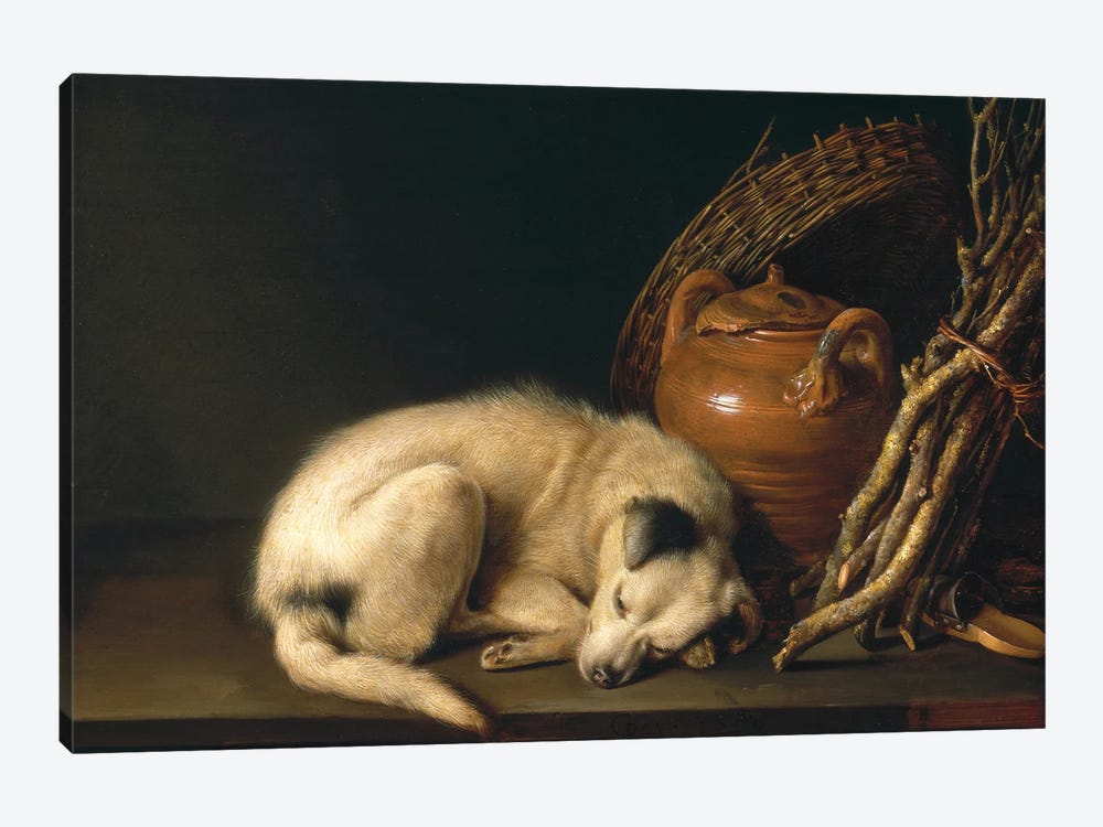 Dog At Rest, 1650 by Gerrit Dou 1-piece Canvas Print