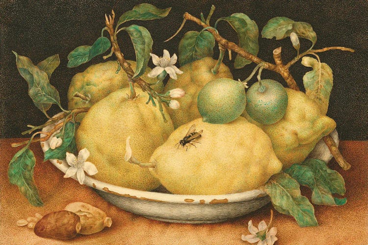 Still Life With Bowl Of Citrons, c.1640-49