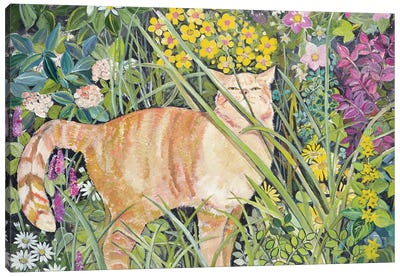 Cat And Long Grass, 1996 Canvas Art Print