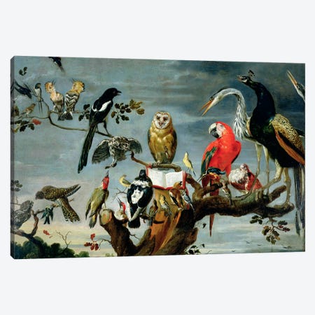 Concert of Birds  Canvas Print #BMN1165} by Frans Snyders Canvas Artwork
