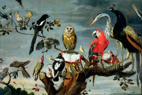 Concert of Birds 