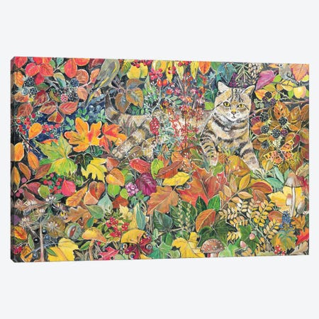 Tabby In Autumn, 1996 Canvas Print #BMN11662} by Hilary Jones Canvas Art