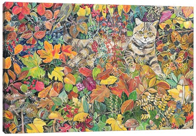 Tabby In Autumn, 1996 Canvas Art Print - Tabby Cat Art