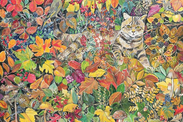 Tabbies: Tabby In Autumn, 1996 by Hilary Jones
