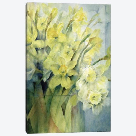 Daffodils, Uncle Remis And Ice Follies Canvas Print #BMN11668} by Karen Armitage Canvas Art