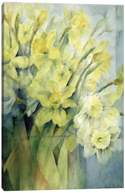 Daffodils, Uncle Remis And Ice Follies Canvas Art Print - Daffodil Art