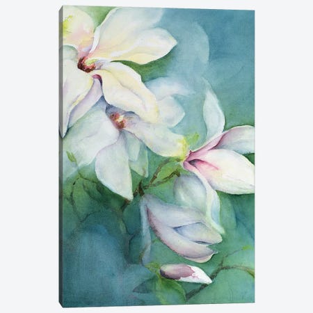 Magnolia Dedudata Canvas Print #BMN11672} by Karen Armitage Art Print