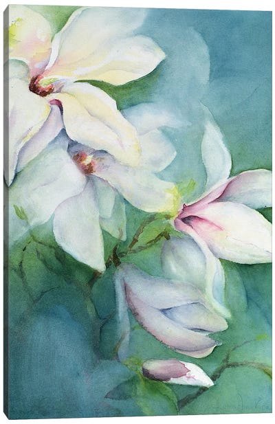 Magnolia Dedudata Canvas Art Print