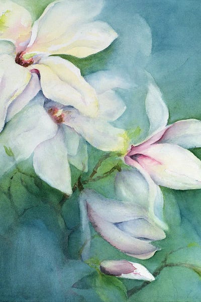Magnolias: Magnolia Dedudata by Karen Armitage