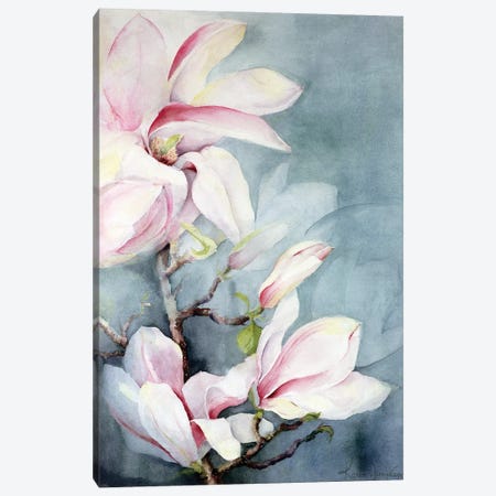 Magnolia Soulangeana II Canvas Print #BMN11674} by Karen Armitage Canvas Artwork