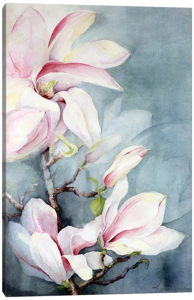 Magnolia Soulangeana II Canvas Art Print