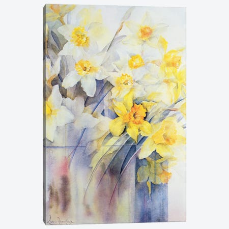 Mixed Daffodils In A Tank Canvas Print #BMN11675} by Karen Armitage Canvas Artwork