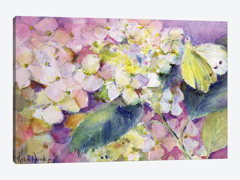 Pale Clouded Yellow Butterfly (Colias Hyale) On Hydrangea by Karen Armitage 1-piece Art Print