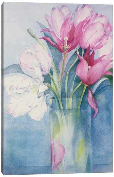 Pink Parrot Tulips And Marlette Canvas Art Print