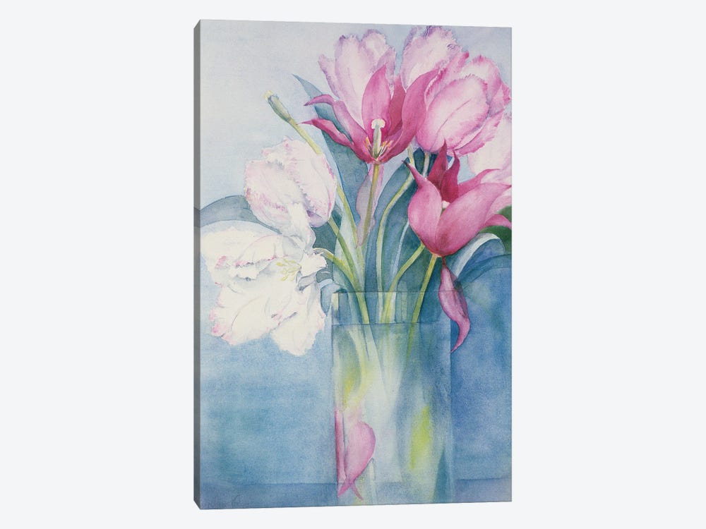 Pink Parrot Tulips And Marlette by Karen Armitage 1-piece Canvas Print