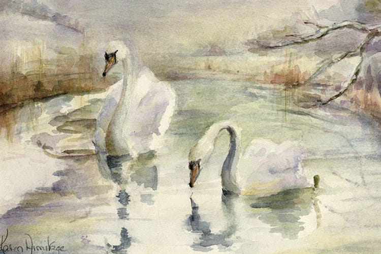 Swans In Winter