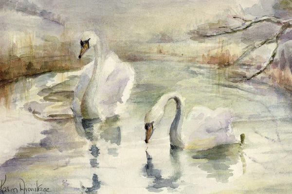 Birds: Swans In Winter by Karen Armitage