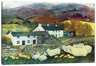 Sheep Country, 1988 Canvas Art Print - Lisa Graa Jensen