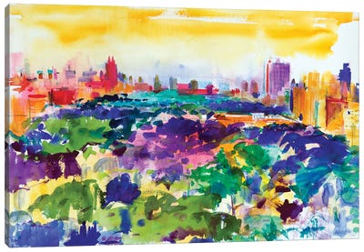 Central Park, New York, 2011 Canvas Art Print