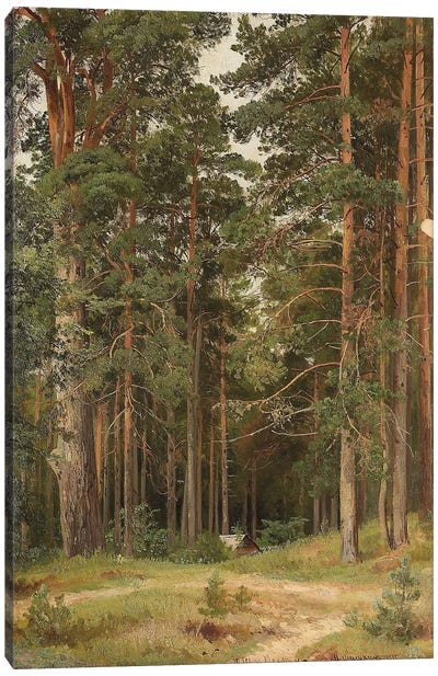 A Summer Day, Merikiul, 1895 Canvas Art Print