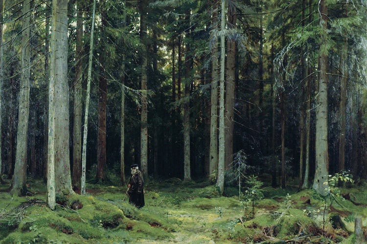 Countess Mordvinov's Forest, 1891