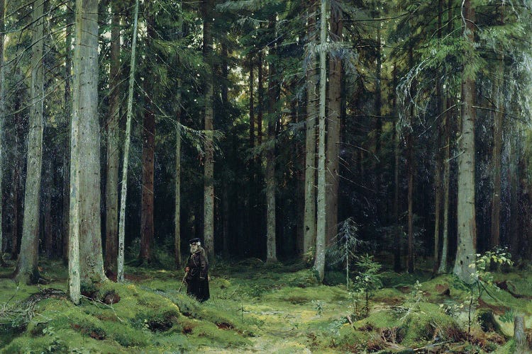 Countess Mordvinov's Forest, 1891 by Ivan Ivanovich Shishkin wall art