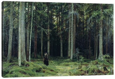 Countess Mordvinov's Forest, 1891 Canvas Art Print