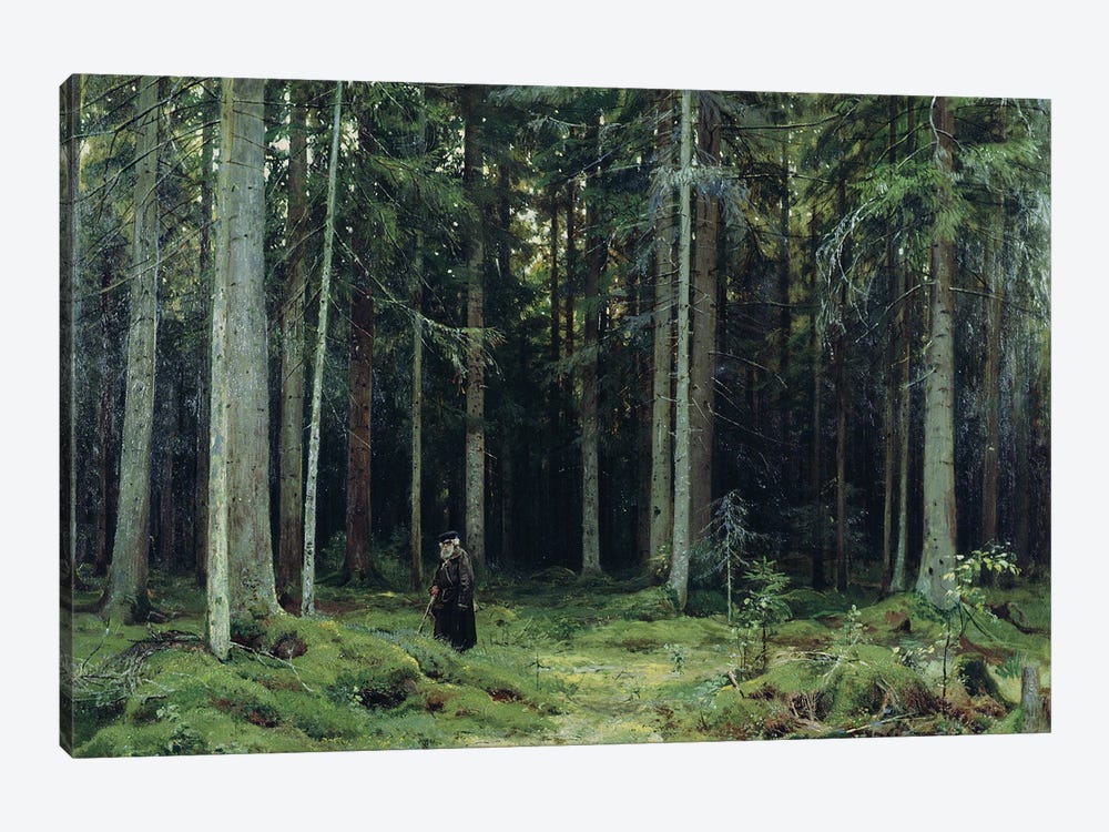 Countess Mordvinov's Forest, 1891 by Ivan Ivanovich Shishkin 1-piece Canvas Art