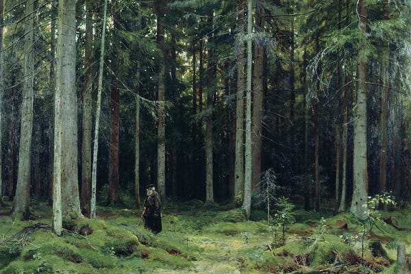 Realism: Countess Mordvinov's Forest, 1891 by Ivan Ivanovich Shishkin