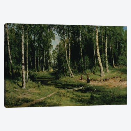 In The Birch Tree Forest, 1883 Canvas Print #BMN11934} by Ivan Ivanovich Shishkin Art Print
