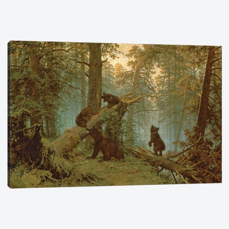Morning In A Pine Forest, 1889 Canvas Print #BMN11935} by Ivan Ivanovich Shishkin Art Print