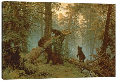 Morning In A Pine Forest, 1889 Canvas Art Print