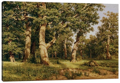Oak Grove, 1887 Canvas Art Print - Realism Art