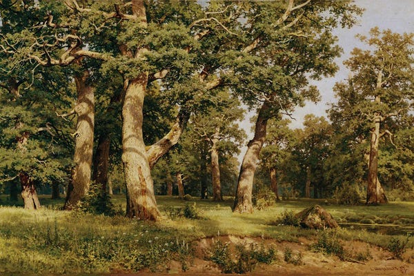 Realism: Oak Grove, 1887 by Ivan Ivanovich Shishkin