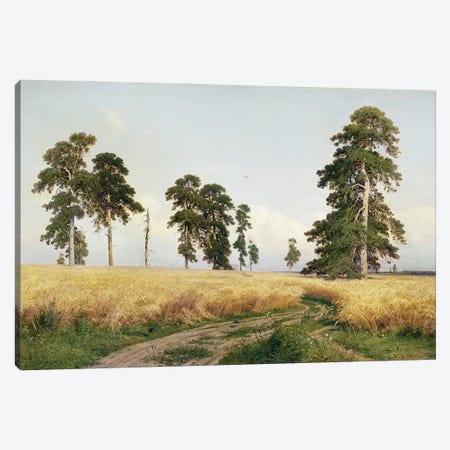 The Field Of Wheat, 1878 Canvas Print #BMN11937} by Ivan Ivanovich Shishkin Canvas Print