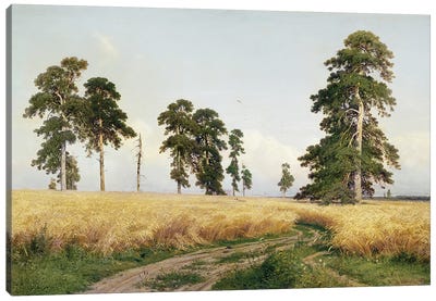 The Field Of Wheat, 1878 Canvas Art Print