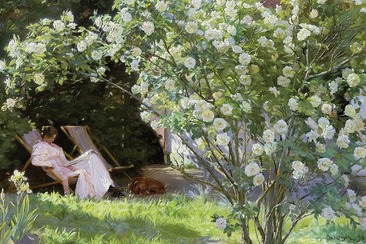 Roses, Or The Artist'S Wife In The Garden At Skagen , 1883