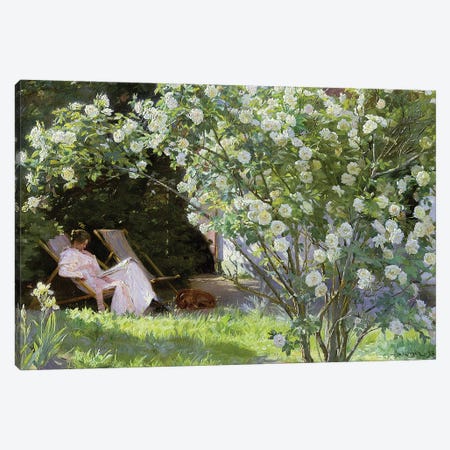Roses, Or The Artist'S Wife In The Garden At Skagen , 1883 Canvas Print #BMN12093} by Peder Severin Kroyer Art Print