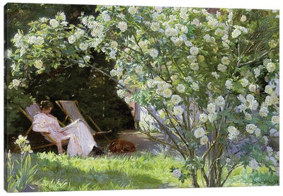 Roses, Or The Artist'S Wife In The Garden At Skagen , 1883 Canvas Art Print